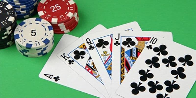 Các bước chơi cơ bản